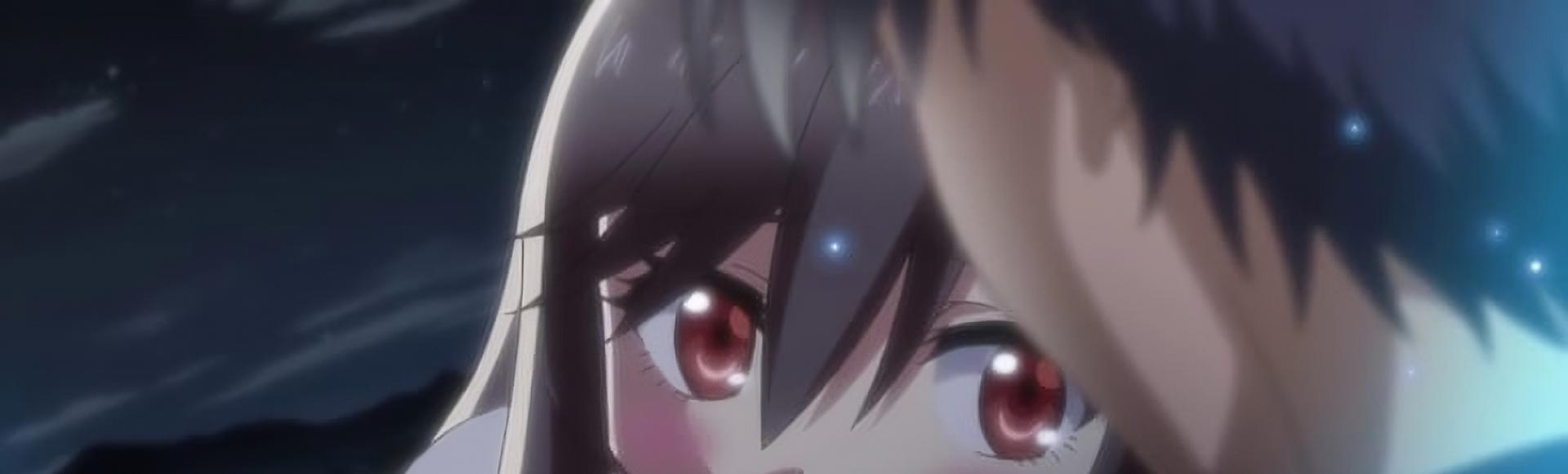 mc banner